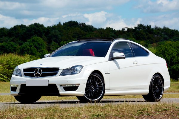 Can Nature Photography Promote Conservation?