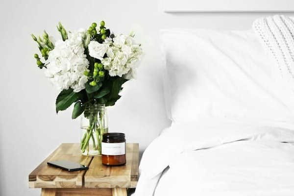The best plants for the bedroom
